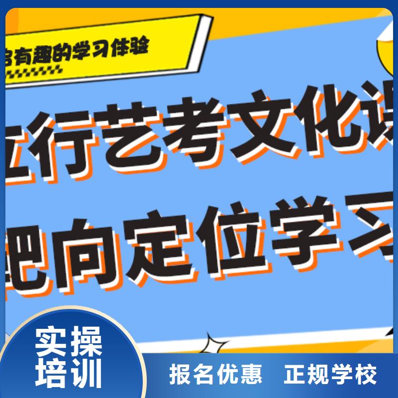 【 艺考文化课就业】本地生产厂家