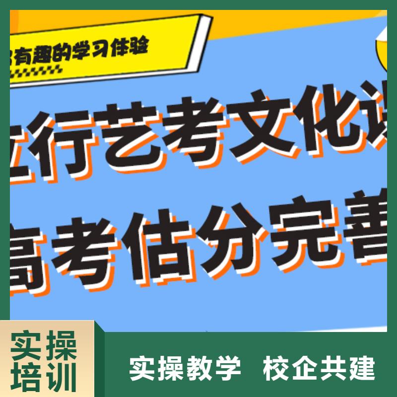 【 艺考文化课就业】本地生产厂家
