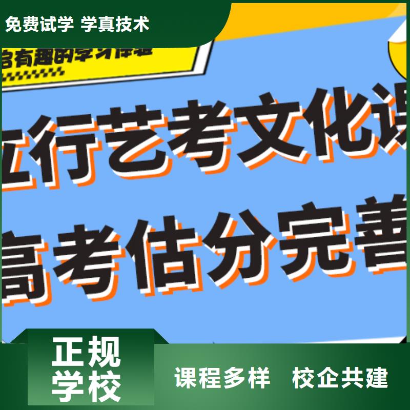 艺考文化课【艺考培训班】课程多样