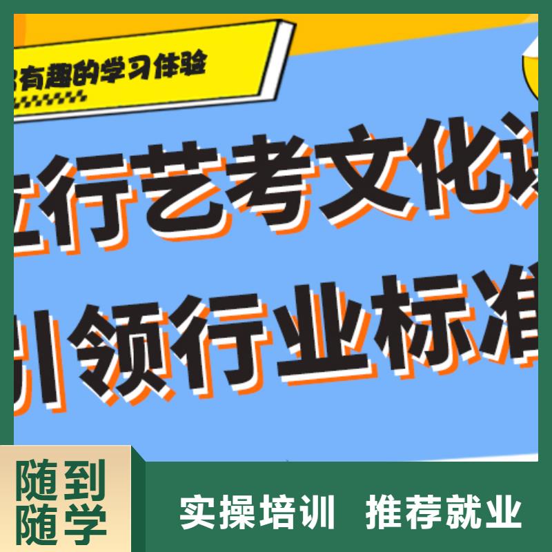 艺考文化课理论+实操当地公司