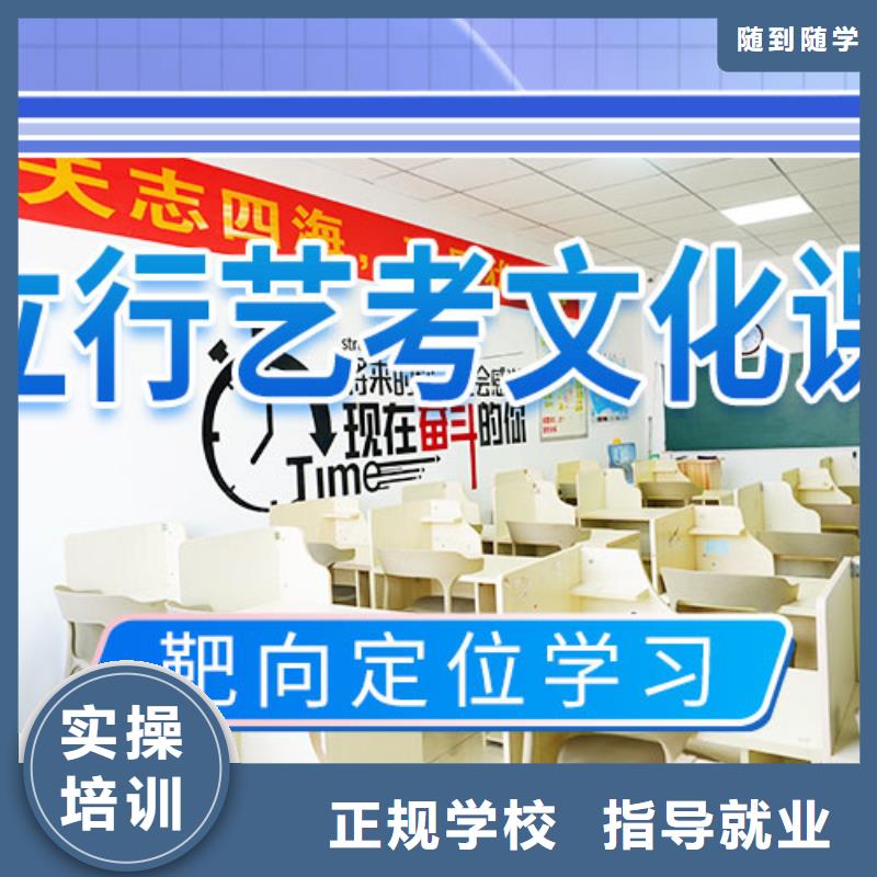 艺考文化课高考语文辅导老师专业