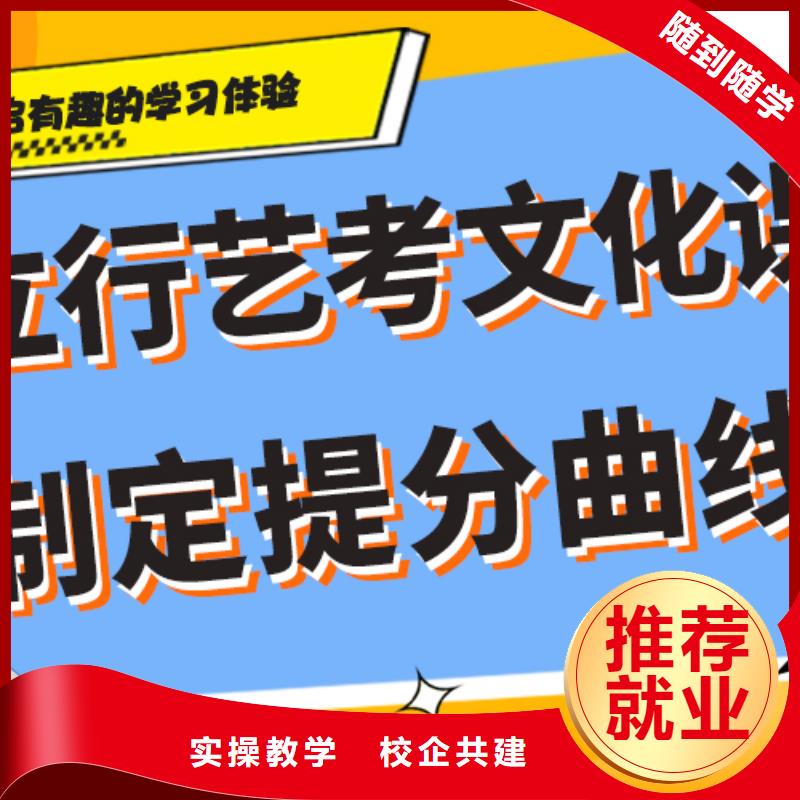 艺考生文化课冲刺高考全日制学真技术