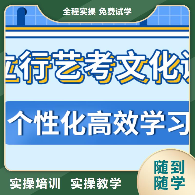 有了解的吗艺术生文化课培训机构利与弊