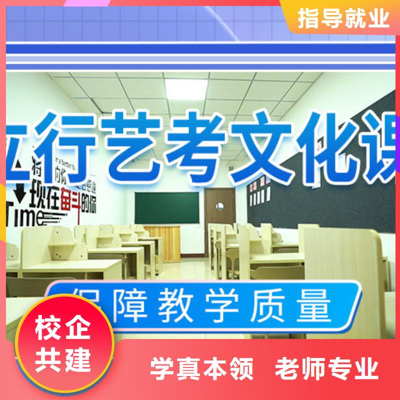 艺考文化课补习【高考复读清北班】理论+实操