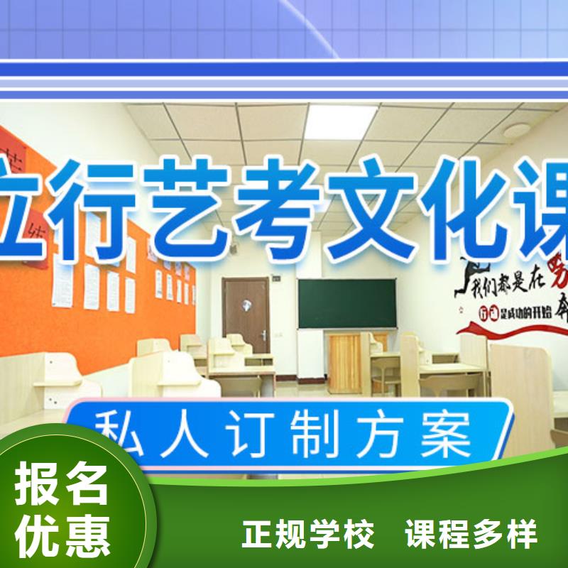 艺考文化课补习【高考复读清北班】理论+实操