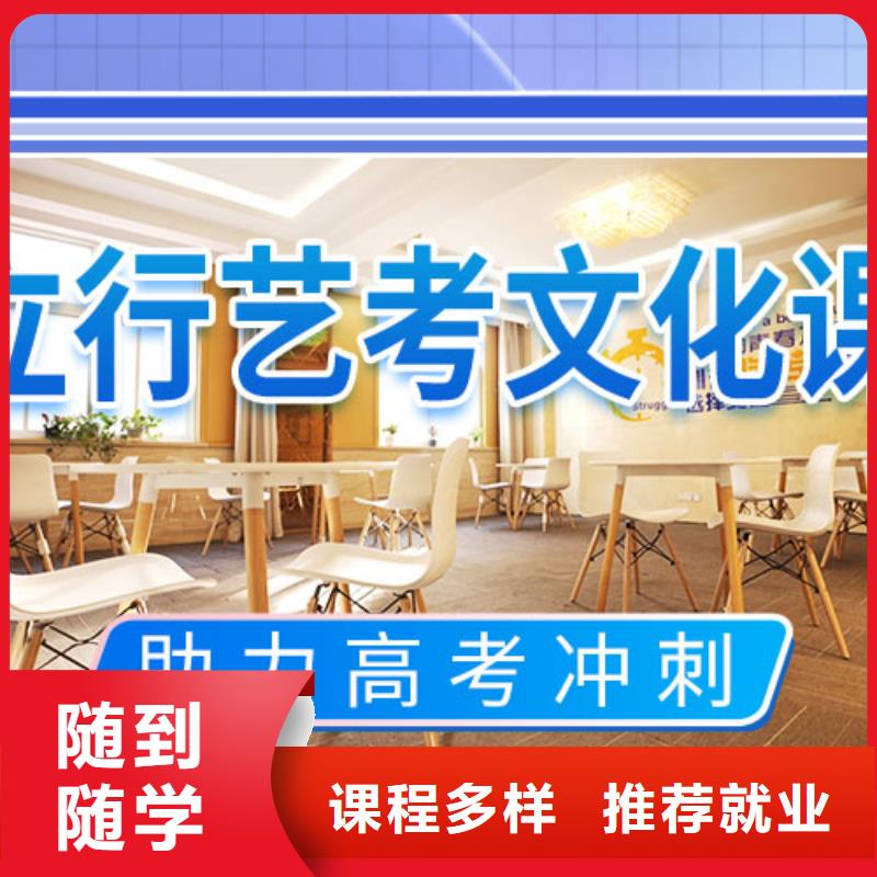 艺考文化课学校艺考理论+实操