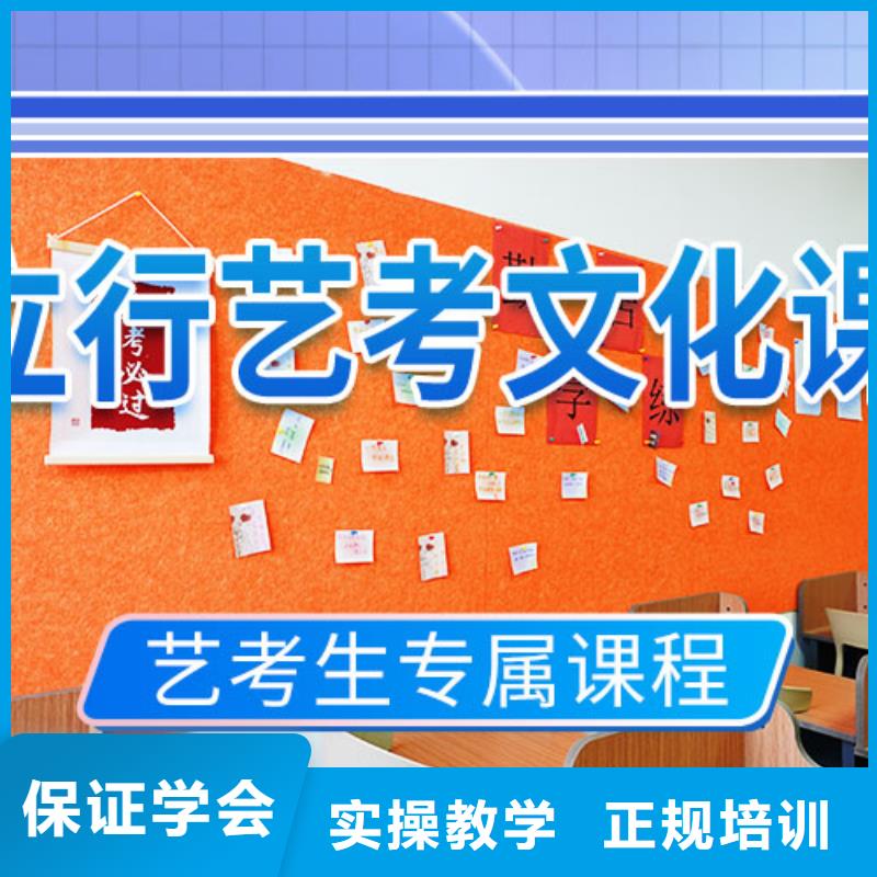 艺考文化课学校艺考理论+实操