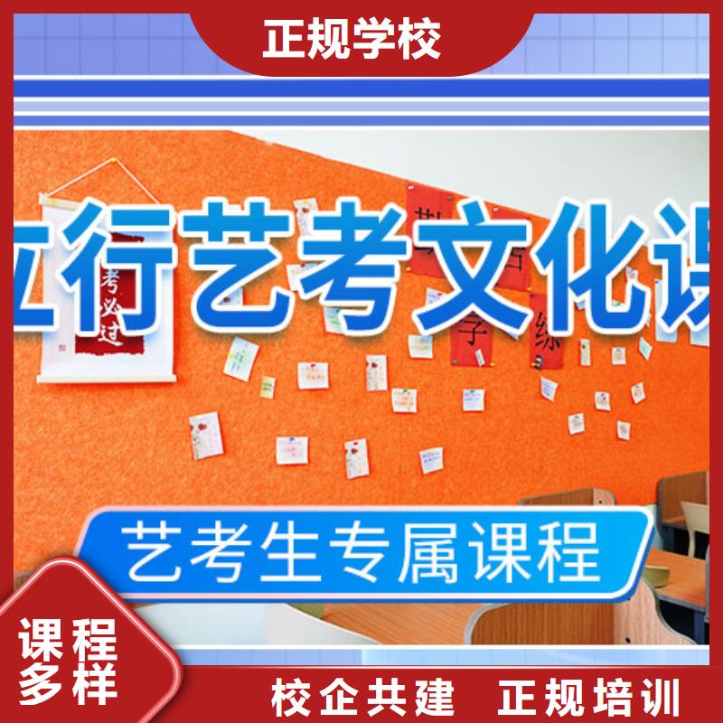 艺考文化课集训高考小班教学实操培训