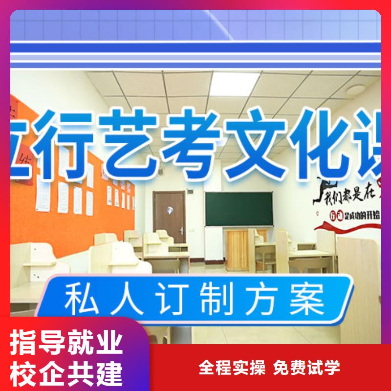 县艺考生文化课培训补习哪个好