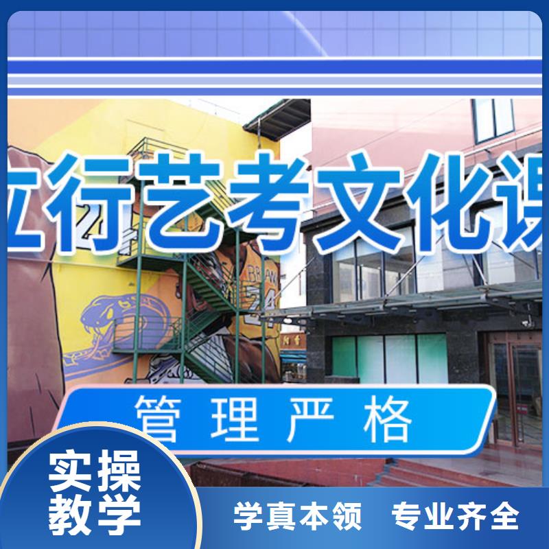 艺考文化课冲刺艺考文化课培训老师专业