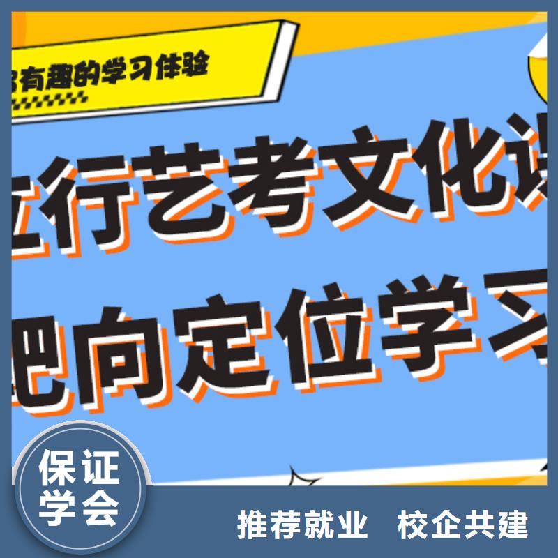 艺术生文化课培训学校收费强大的师资配备