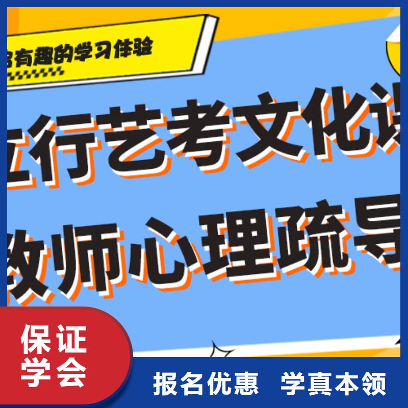 艺术生文化课培训学校学费强大的师资配备