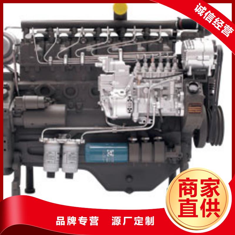 2025有现货的#292F双缸风冷柴油机公司#用户好评
