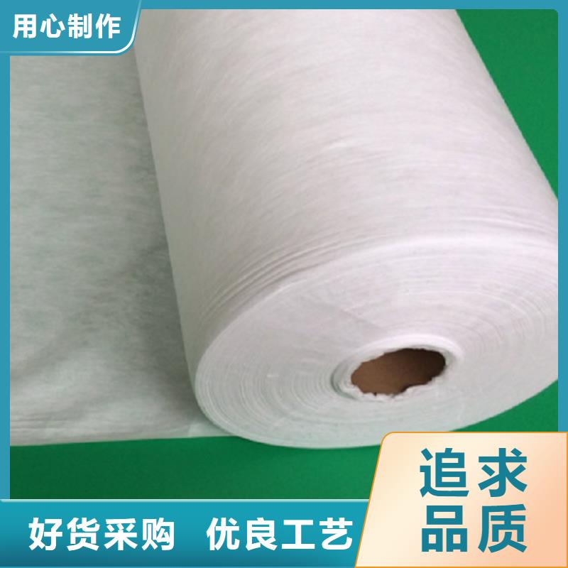 常年供应信泰源窗帘用无纺布-优质