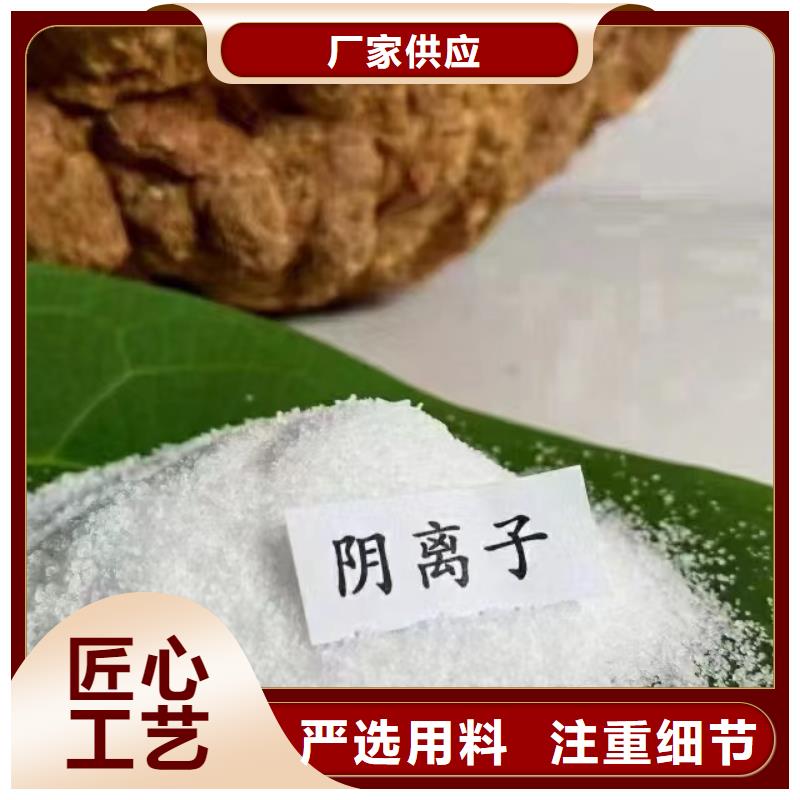 聚丙烯酰胺主推产品