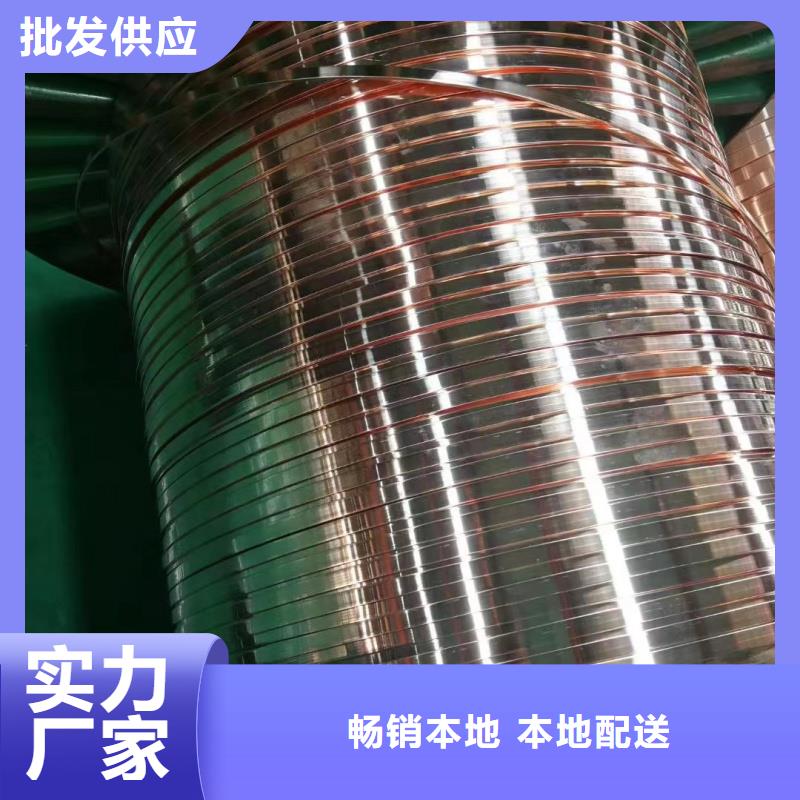 紫铜排N年专注
