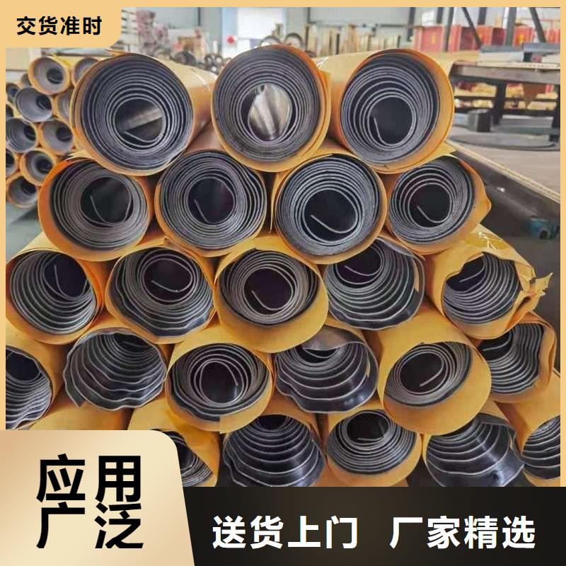 加速器防护门精选厂商