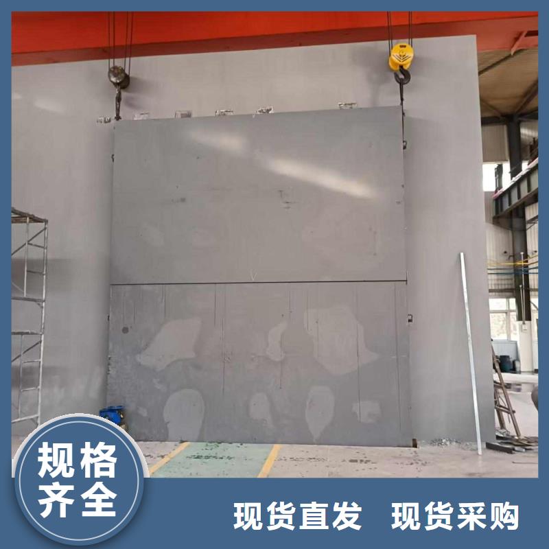 探伤室防护门用心做好每一件产品