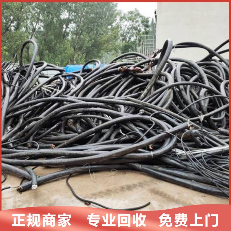 上门回收钨钢诚信商家
