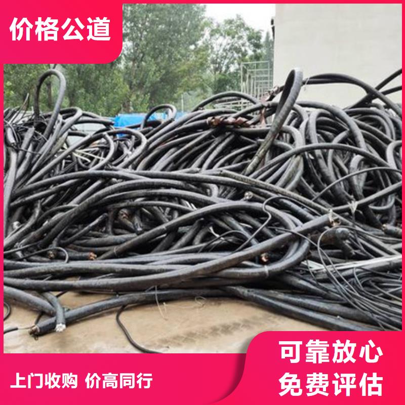 回收钨钢免费询价