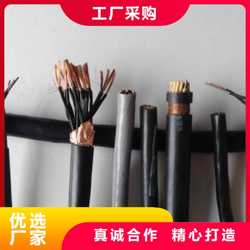 电线电缆PTYA23电缆厂家采购