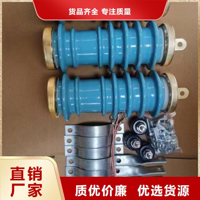 避雷器【绝缘子】实体厂家支持定制由樊高为您