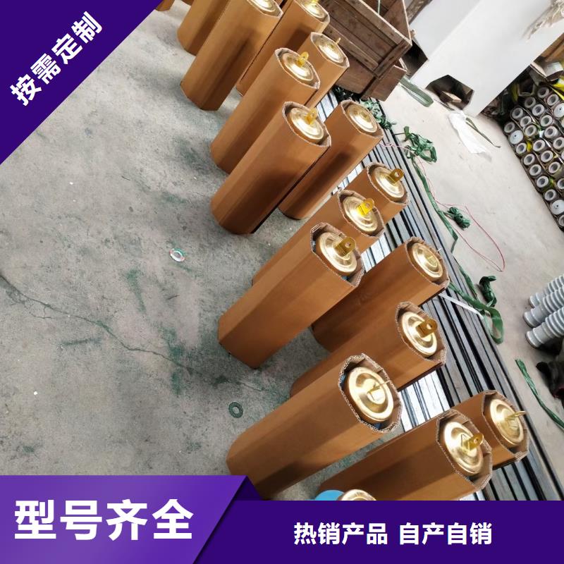 避雷器_【限流熔断器】诚信经营同城货源