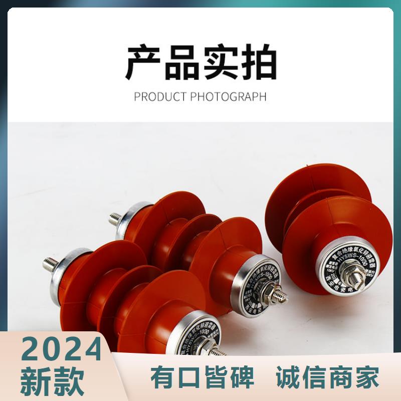 避雷器真空断路器安心购_樊高电气销售部(定西市分公司)