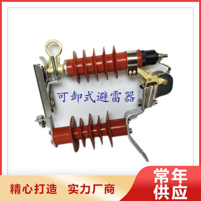 樊高【避雷器】 绝缘子高标准高品质-阿奇乐乐