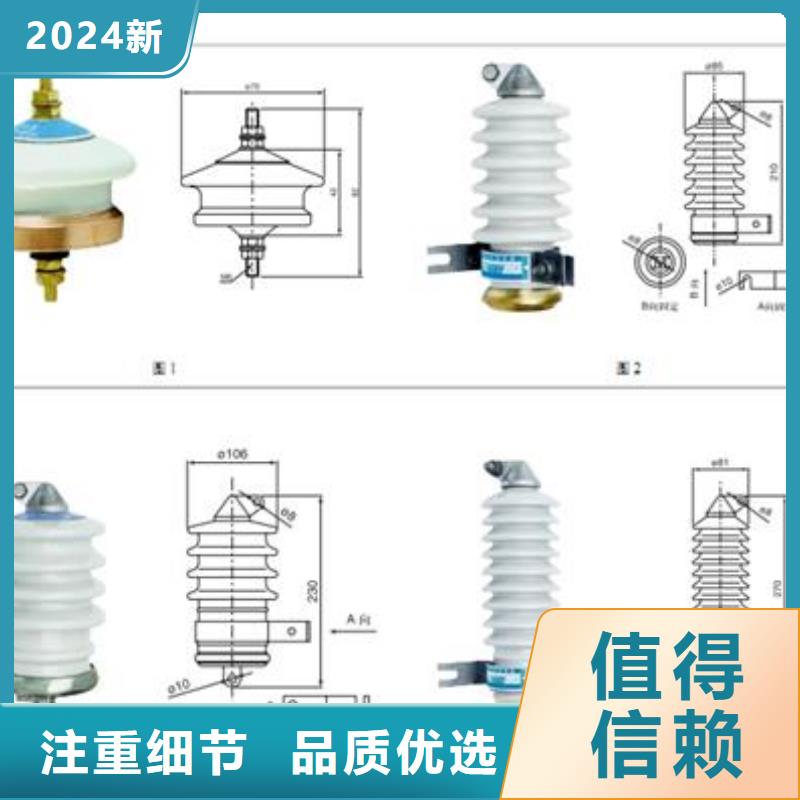 避雷器-【高低压电器团队】厂家直销值得选择