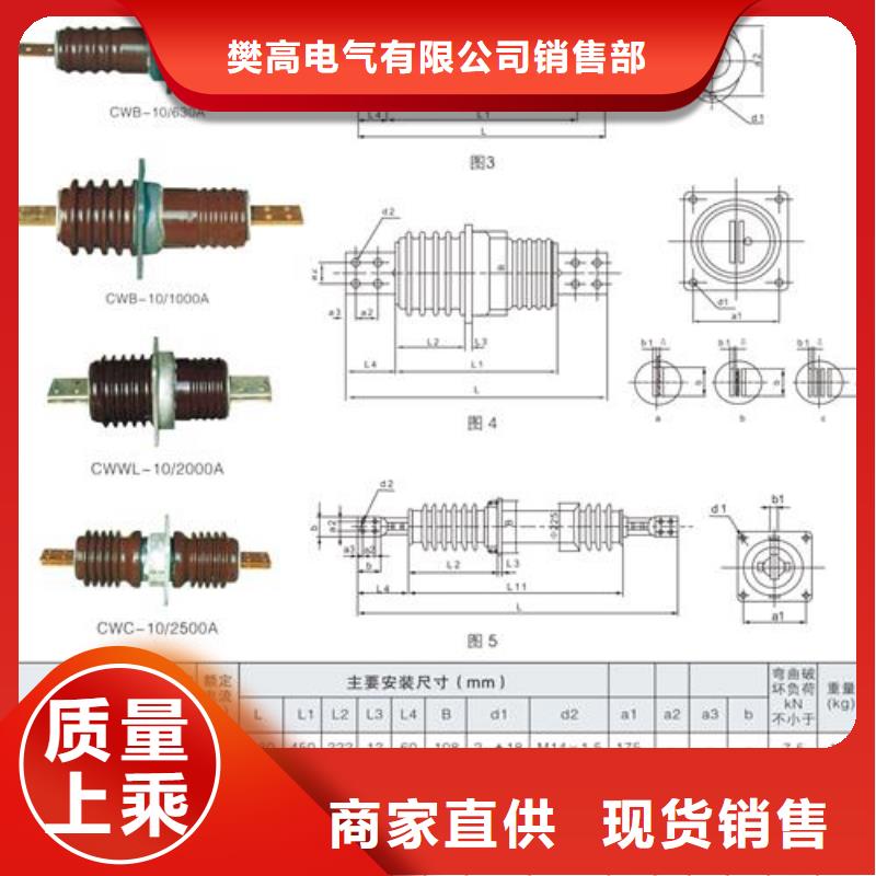 玉树|海东|西宁|海北|黄南|海南|海西穿墙套管真空断路器层层质检-樊高电气销售部(果洛市分公司)