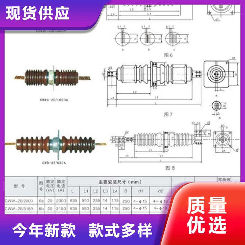 (经久耐用)的厂家直销值得选择穿墙套管真空断路器量大从优-樊高电气销售部有限公司