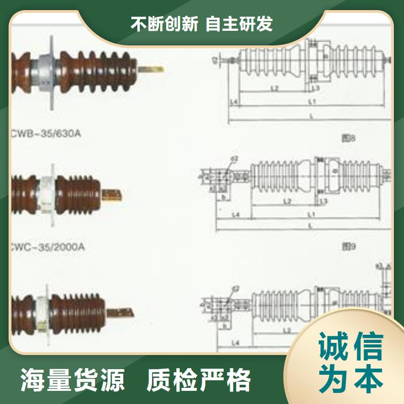 穿墙套管【绝缘子】检验发货樊高固定金具价格