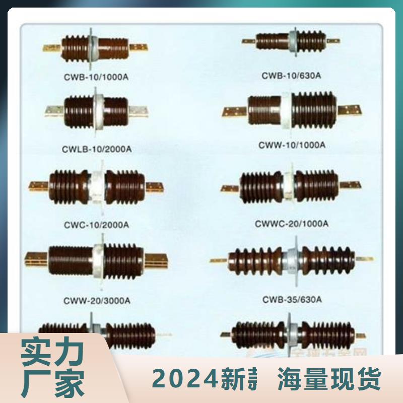 CWC-35/400A高压穿墙套管