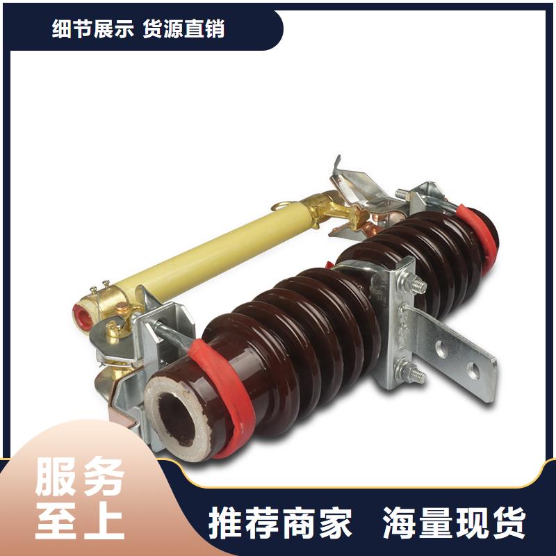 【 熔断器 氧化锌避雷器匠心工艺】樊高固定金具价格
