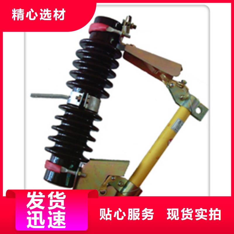熔断器氧化锌避雷器工程施工案例樊高固定金具价格