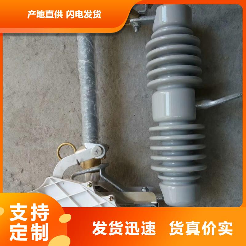 【 熔断器_绝缘子甄选好厂家】