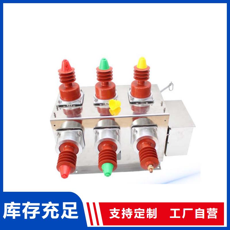 真空断路器氧化锌避雷器价格厂家规格全