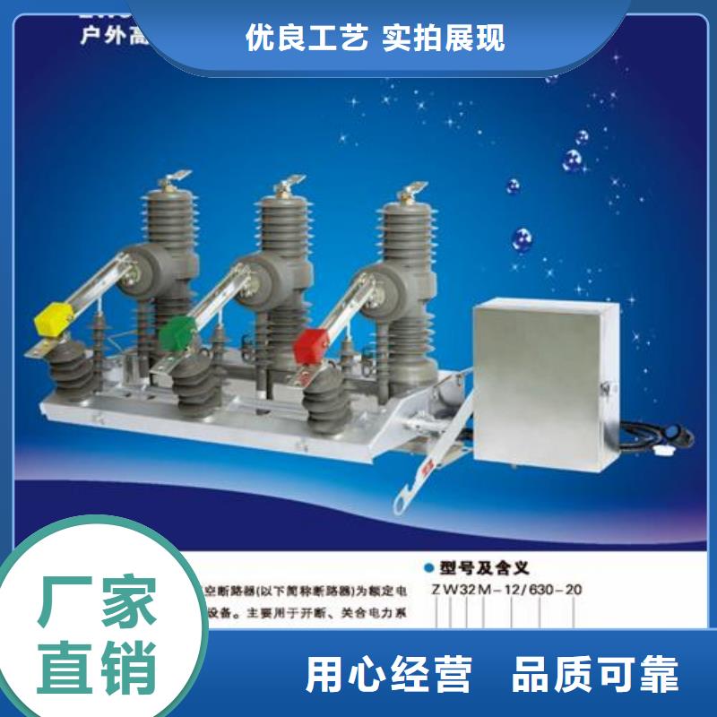【 真空断路器 氧化锌避雷器选择我们没错】