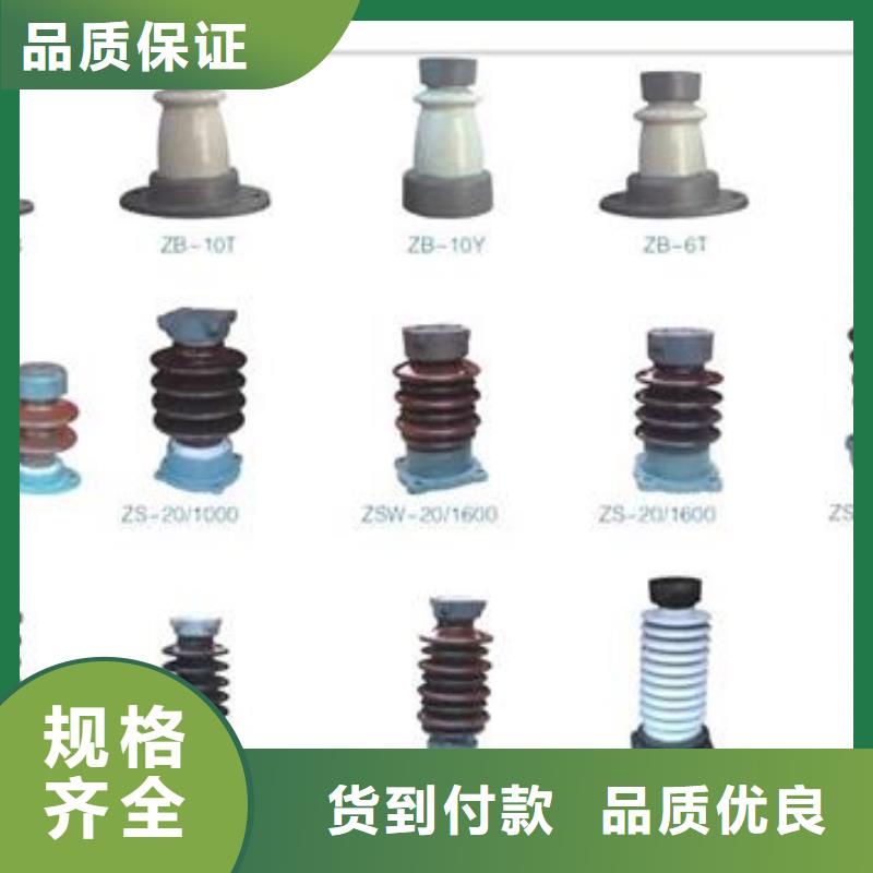 绝缘子-【氧化锌避雷器】放心得选择