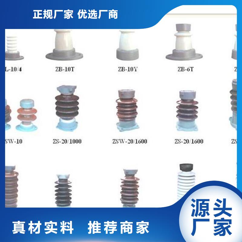 源头工厂量大优惠绝缘子氧化锌避雷器好产品好服务_视频