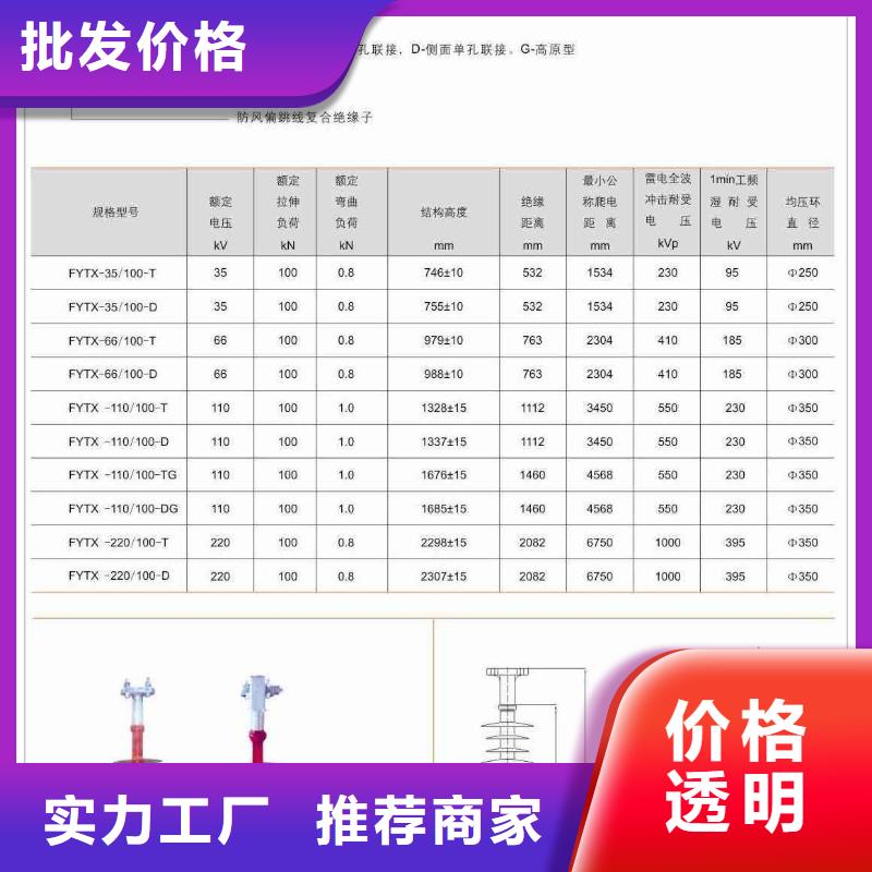 【放心购 绝缘子_穿墙套管发货及时】-樊高电气有限公司销售部