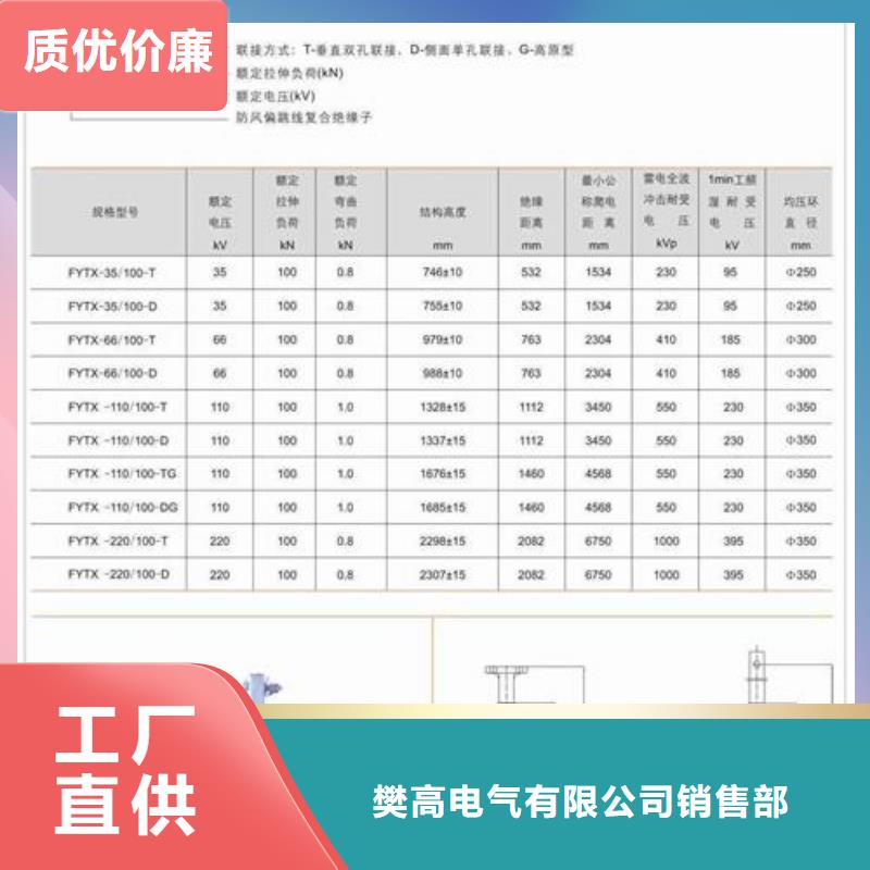 绝缘子-【氧化锌避雷器】放心得选择