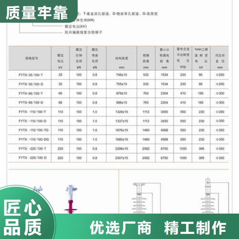 源头工厂量大优惠绝缘子氧化锌避雷器好产品好服务_视频