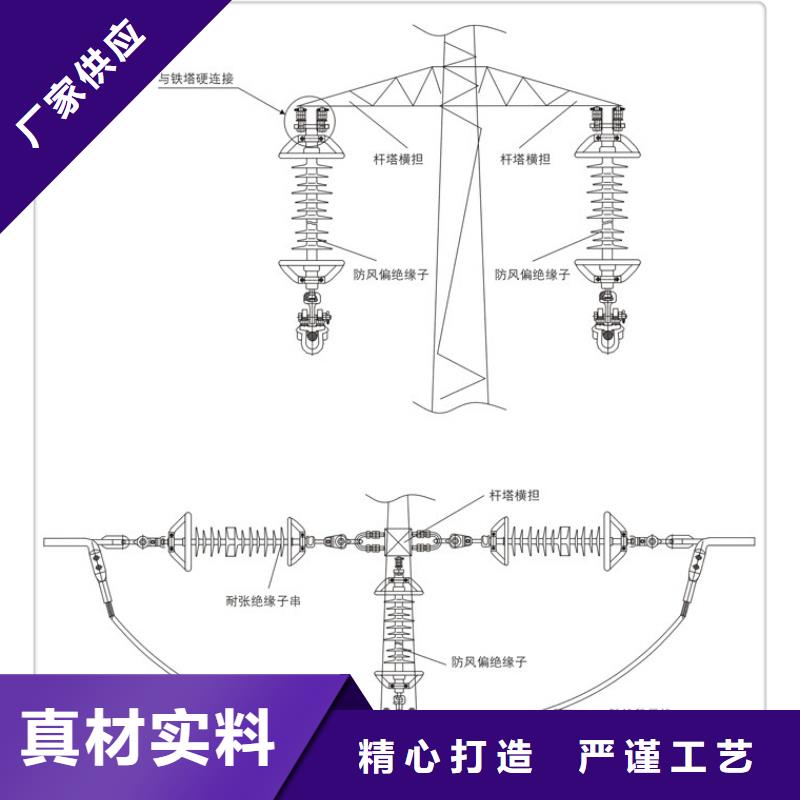 绝缘子-【氧化锌避雷器】放心得选择