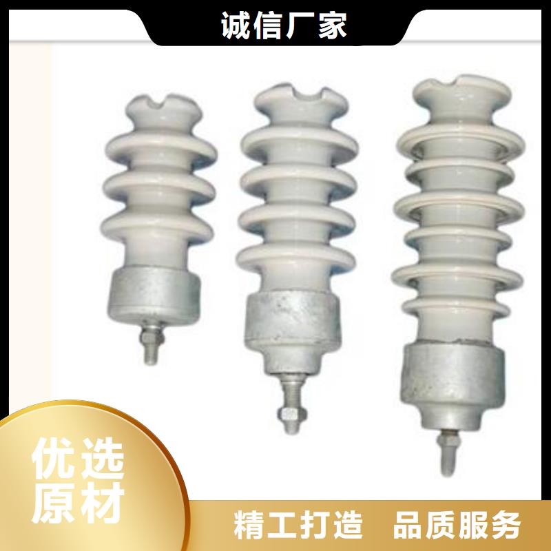 绝缘子-【氧化锌避雷器】放心得选择