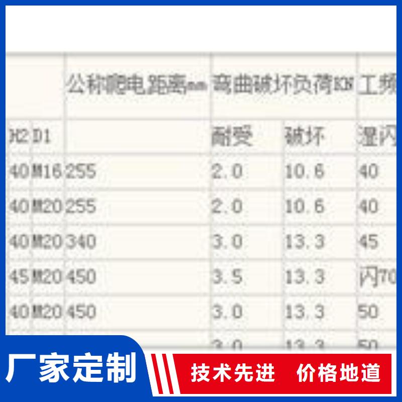 【绝缘子真空断路器诚信厂家】