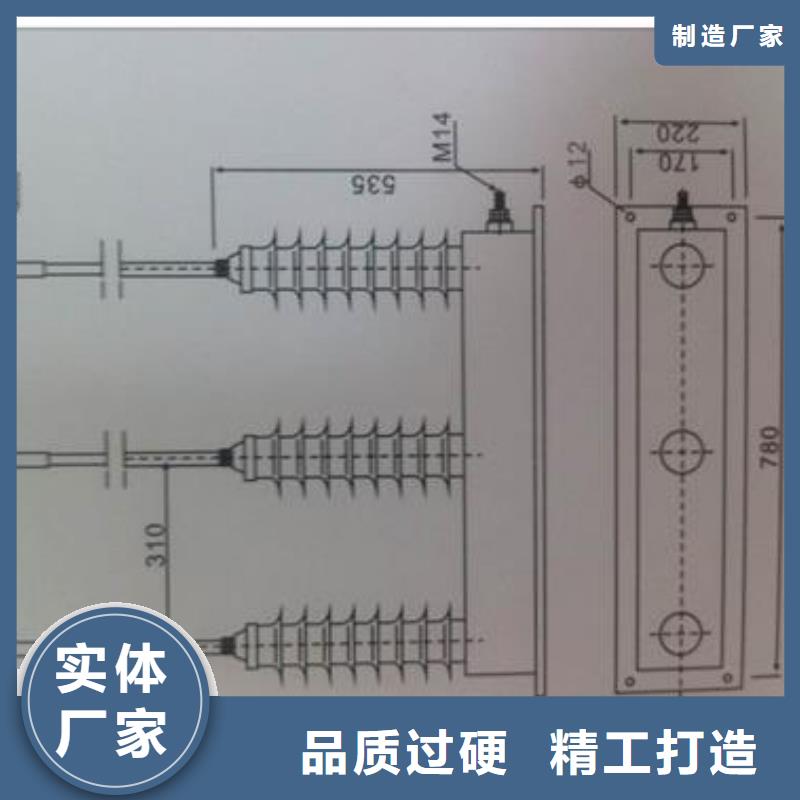 过电压保护器氧化锌避雷器品质服务-樊高电气销售部(自贡市分公司)
