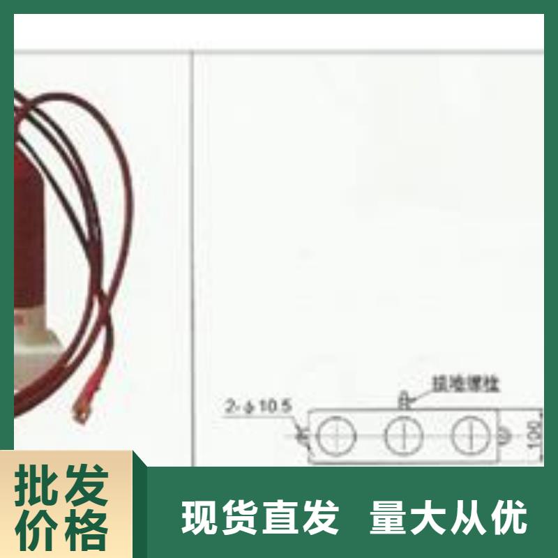 樊高过电压保护器-【限流熔断器】贴心服务-业务覆盖区域|隆阳|施甸|文山|怒江|大理|楚雄|昭通-阿奇乐乐