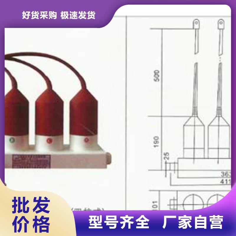 过电压保护器-【真空断路器】厂家新品